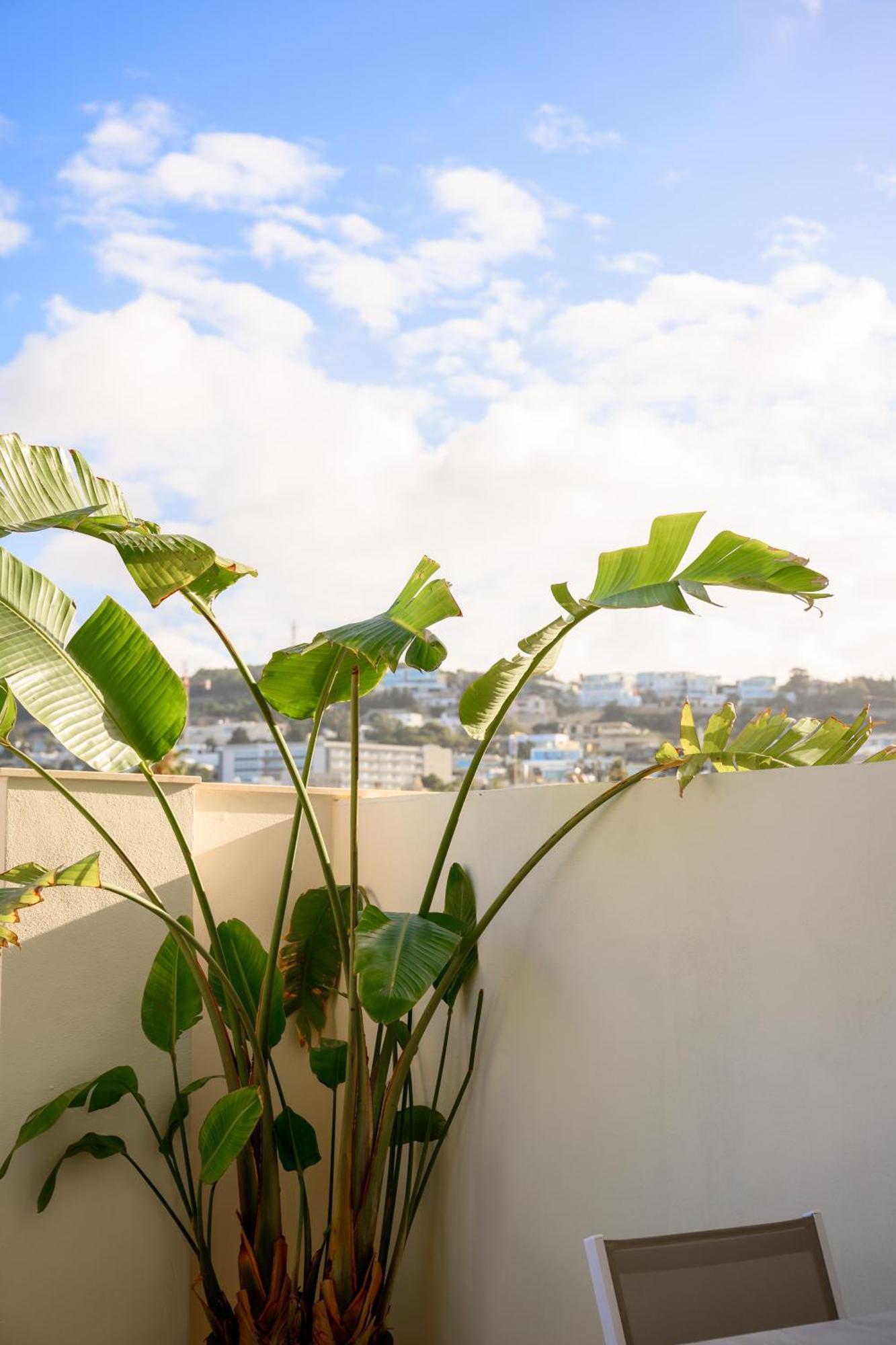 XVI Suites - Adults Only Naxxar Exteriér fotografie