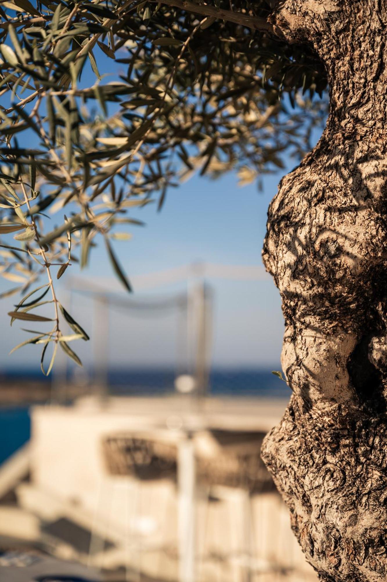 XVI Suites - Adults Only Naxxar Exteriér fotografie